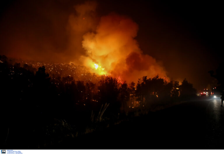 Μήνυμα από το 112 για τη φωτιά στη Φυλή – Καπνός έχει σκεπάσει την περιοχή