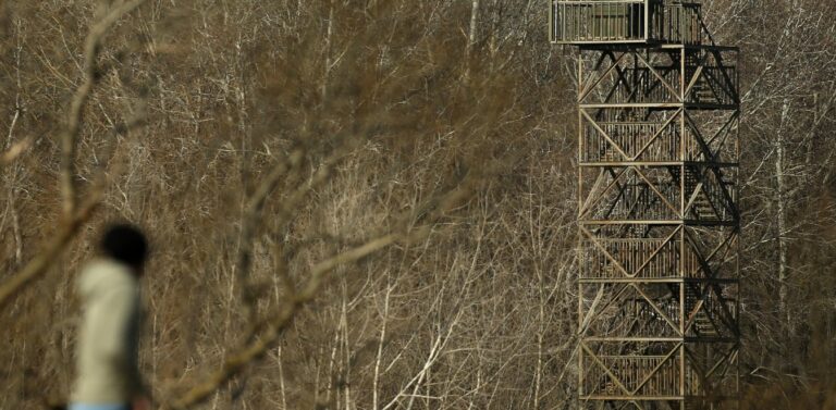 Ξεσηκωμός στον Έβρο υπέρ του κτηνοτρόφου που πάλεψε με Τούρκους