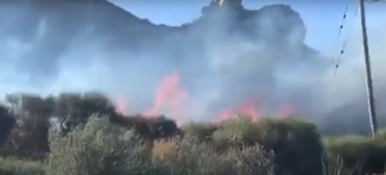 Μεγάλη φωτιά σε δασική έκταση