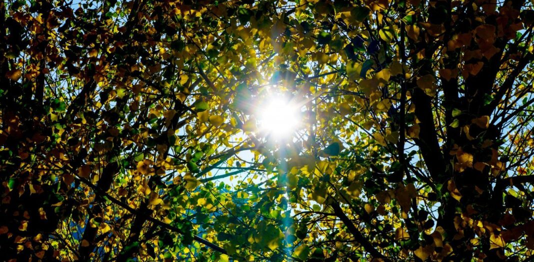 Φθινοπωρινή Ισημερία: Ξεκινά κι επίσημα σήμερα το απόγευμα το φθινόπωρο