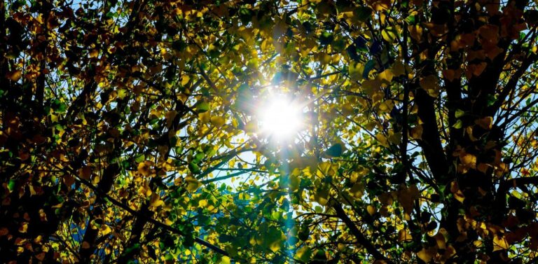 Φθινοπωρινή Ισημερία: Ξεκινά κι επίσημα σήμερα το απόγευμα το φθινόπωρο