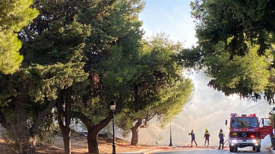 Καίγεται ρεματιά στην Κηφισιά – Δεν απειλούνται σπίτια