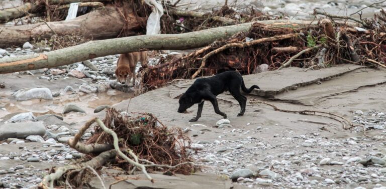 Συγκλονίζουν στην Άσσο: «Ελάτε να μας ξεθάψετε» – Όλεθρος στην Καρδίτσα
