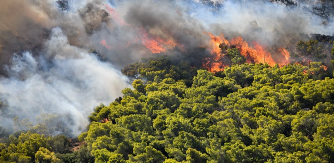 Φωτιά στην Κερατέα: Σε κατάσταση έκτακτης ανάγκης ο δήμος Σαρωνικού
