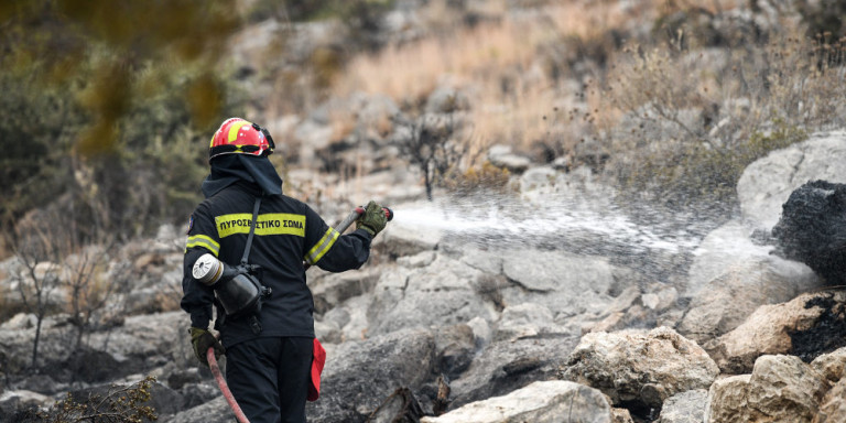 Νέος συναγερμός στην Πυροσβεστική -Φωτιές σε Μάνη και Κεφαλονιά