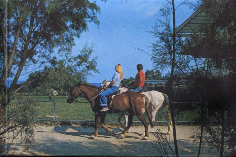 Ρέθυμνο: «Το Αυτό- Ανακατασκευάζοντας την οικογένεια»