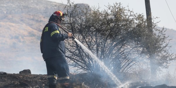 Μεγάλη φωτιά σε δασική έκταση