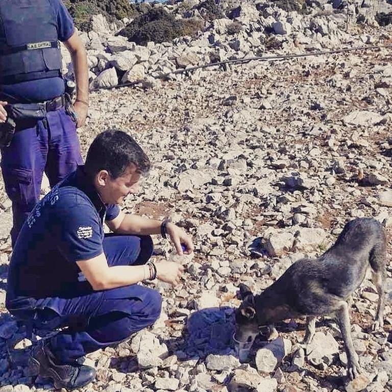 Κρήτη: Αστυνομικοί έσωσαν τη σκυλίτσα που βρήκαν στο βουνό