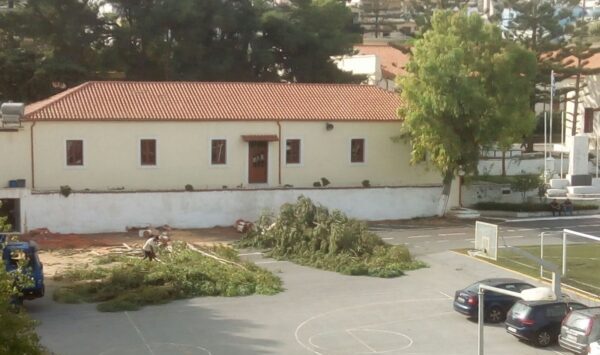 Κρήτη: Έκοψαν δέντρα στη Σχολή Αστυφυλάκων (βίντεο)