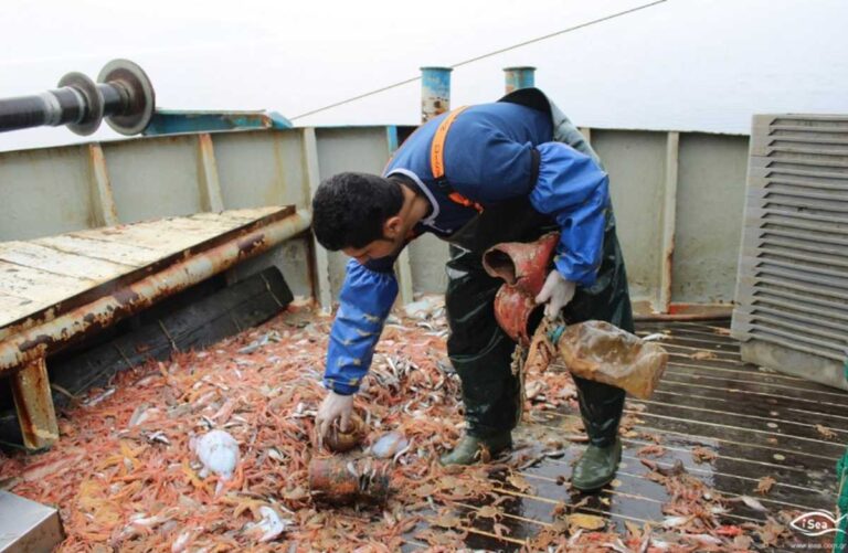 Σήκωσαν τα δίχτυα και προσπαθούσαν να πιστέψουν στα μάτια τους! Δείτε τις απίστευτες εικόνες