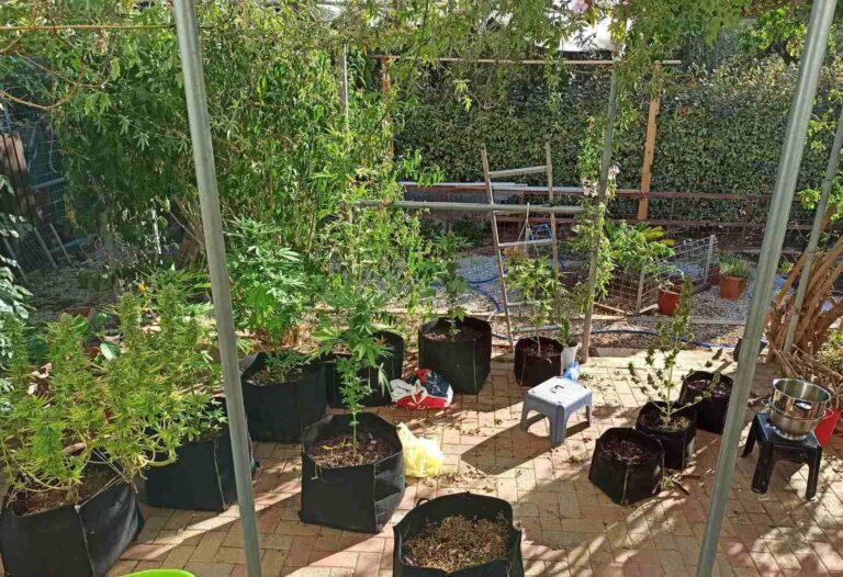 Κρήτη: Οι έρευνες της ΕΛ.ΑΣ. έβγαλαν … «λαβράκι» (εικόνες)