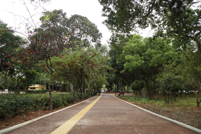 Ανοιχτό για το κοινό το ανακαινισμένο Πάρκο Γεωργιάδη