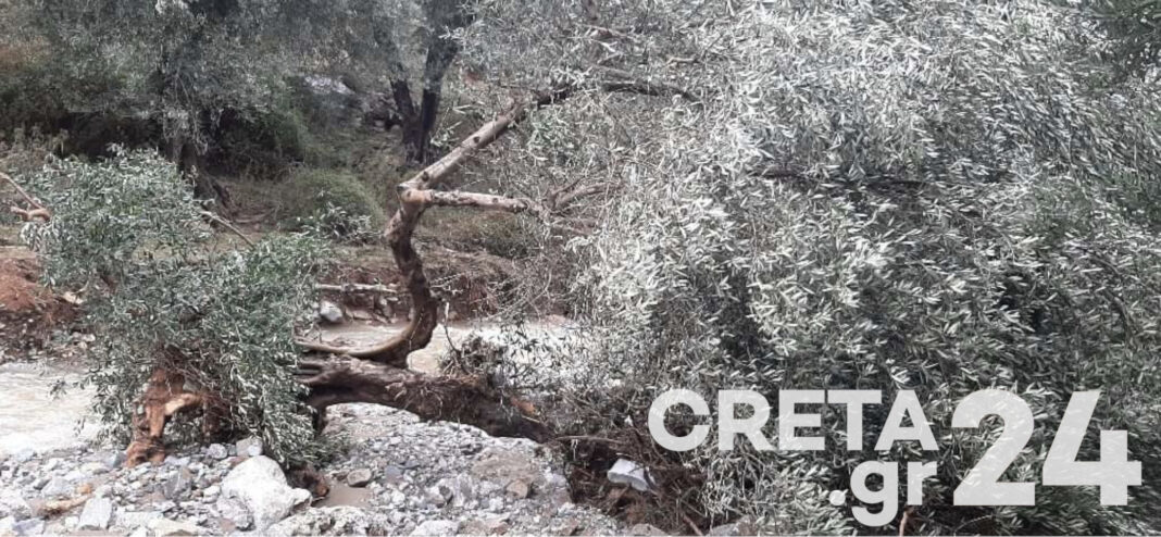 Η Κρήτη μετρά ξανά πληγές από την κακοκαιρία (εικόνες – βίντεο)