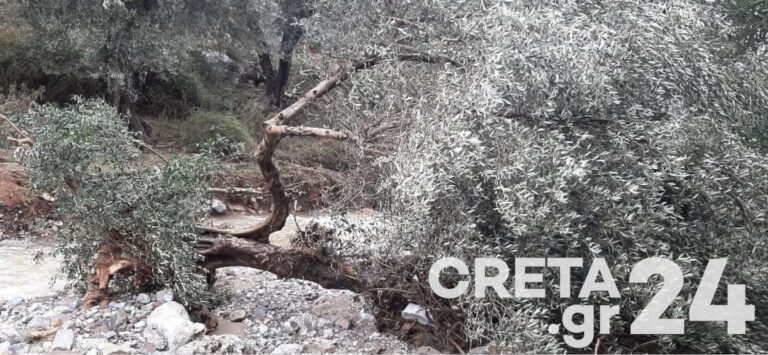 Η Κρήτη μετρά ξανά πληγές από την κακοκαιρία (εικόνες – βίντεο)