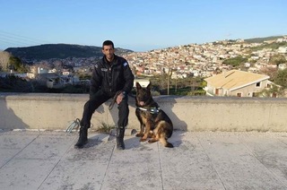 «Θερίζουν» οι φόλες σε νομό της Κρήτης – Η «Ντάικα» γυρίζει και … μυρίζει  (εικόνες)