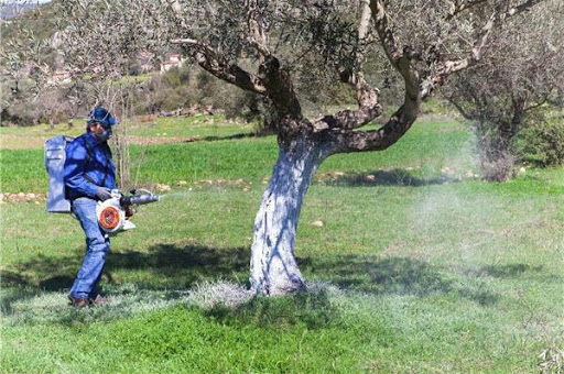 Κρήτη: Ψεκασμοί στα δέντρα του πάρκου Αγίων Αποστόλων- Απαγόρευση εισόδου