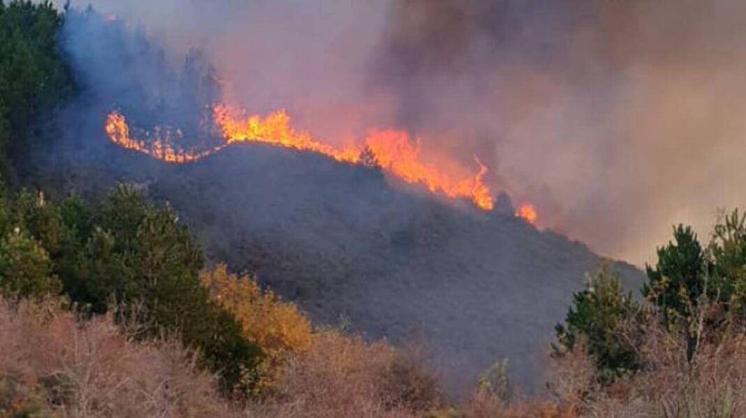 Μεγάλη φωτιά σε δασική έκταση- 81 πυροσβέστες στο σημείο