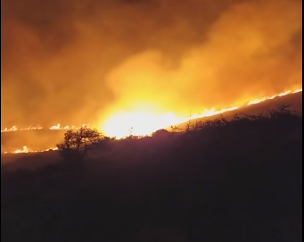 Συναγερμός για μεγάλη πυρκαγιά στην Κρήτη (εικόνες)