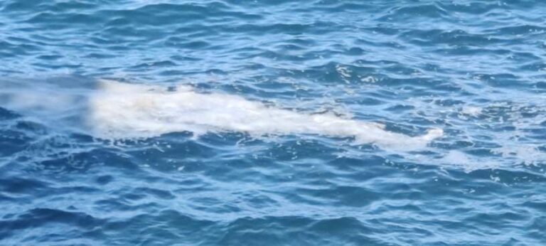 Κρήτη: Γέμισε λύματα η θάλασσα στο Ενετικό Λιμάνι (εικόνες)