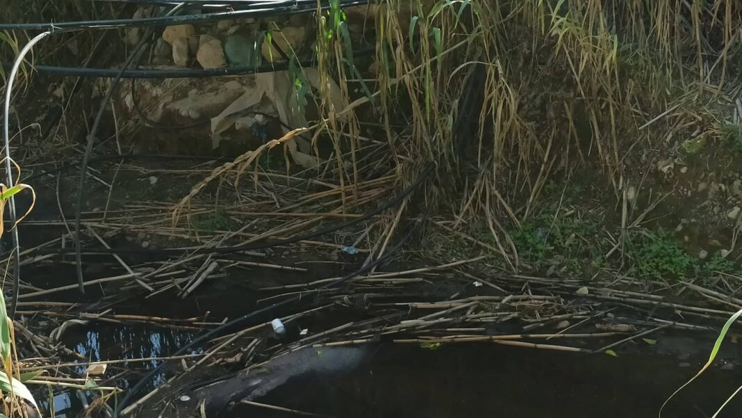 Ηράκλειο: Έριξαν κατσίγαρο σε παραπόταμο που καταλήγει στον Αποσελέμη – Χειροπέδες στους ιδιοκτήτες ελαιουργείου
