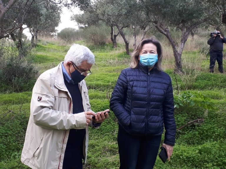 Μάζεψε τις ελιές του ο Δήμος Ηρακλείου – Ευχαριστεί η ΔΕΠΑΝΑΛ (εικόνες)