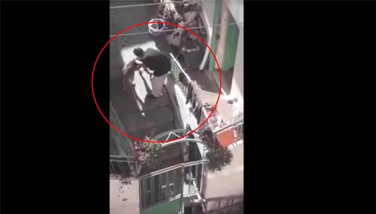 Νέα κακοποίηση ζώου στο Ηράκλειο – Ηλικιωμένη χτυπάει βάναυσα σκύλο (βίντεο)