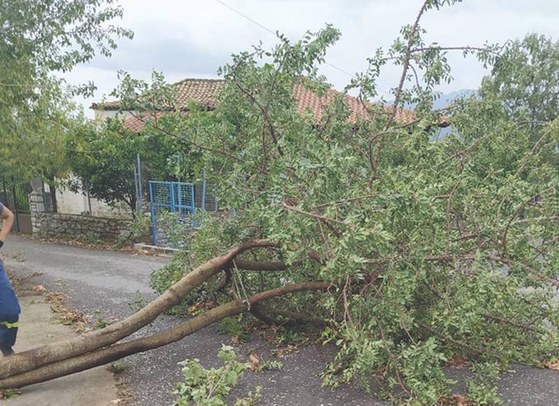 Κρήτη: Ξεκίνησαν οι δηλώσεις για τις ζημιές από την ανεμοθύελλα