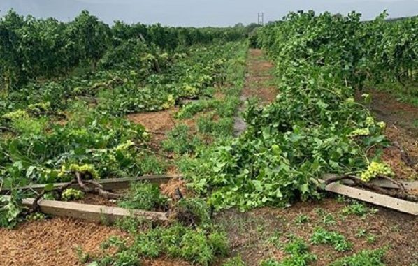 Κρήτη: Ξεκίνησαν οι δηλώσεις για τις ζημιές από την ανεμοθύελλα