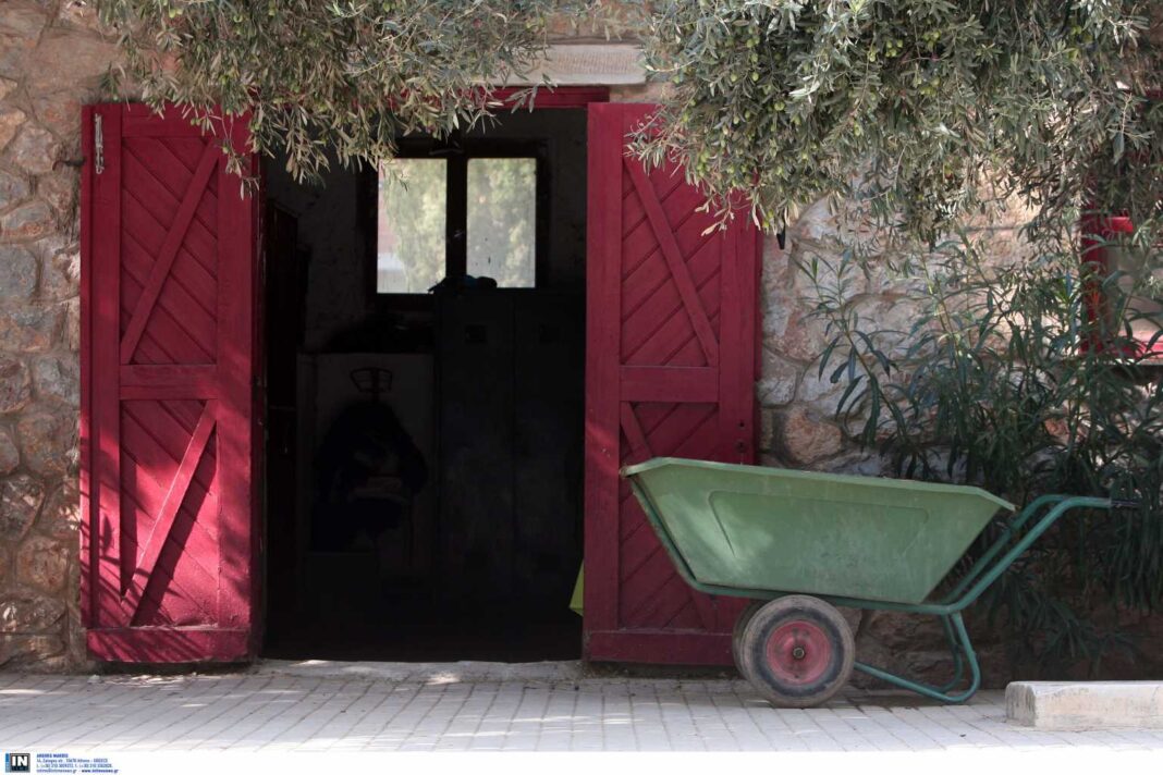 Προσπάθησε να βιάσει 5χρονο κοριτσάκι σε Ιππικό Όμιλο