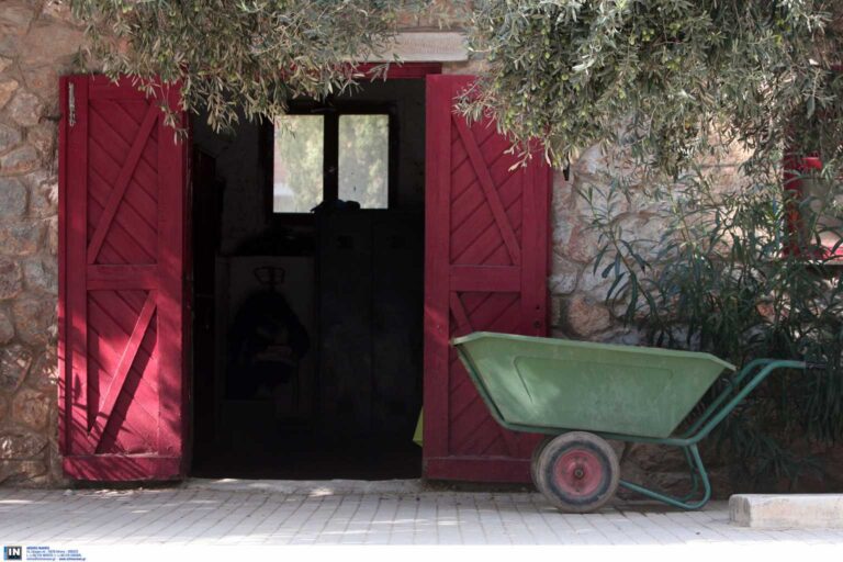 Προσπάθησε να βιάσει 5χρονο κοριτσάκι σε Ιππικό Όμιλο