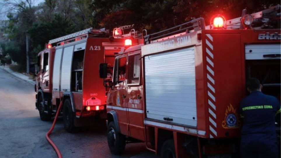Εύβοια: Μεγάλη φωτιά μεταξύ Πηλίου – Μαντουδίου (εικόνες)
