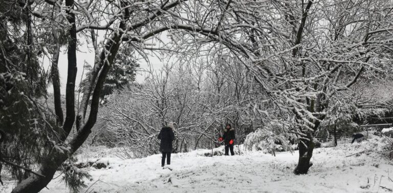 Κακοκαιρία «Λέανδρος»: Κρύο και πολικές θερμοκρασίες στην Κρήτη