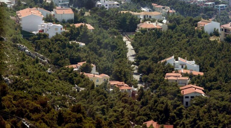 Ηράκλειο: Αναρτήθηκαν οι δασικοί χάρτες