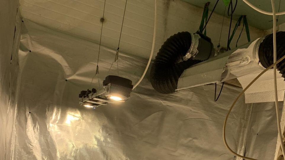 Καλλιεργούσε σε φυτώριο κάνναβη