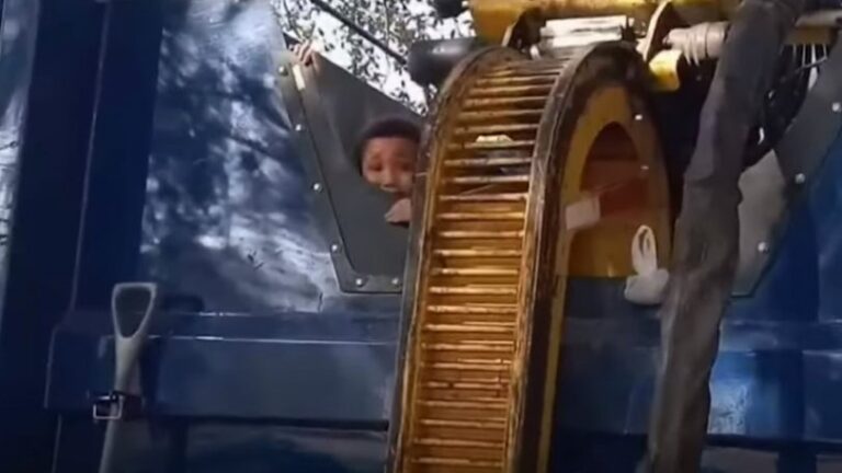 7χρονος που έπαιζε κρυφτό μπήκε σε κάδο, αλλά τον μάζεψε το σκουπιδιάρικο (βίντεο)