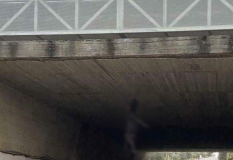 Απίστευτη κτηνωδία στην Κρήτη: Κρέμασαν σκύλο από γέφυρα