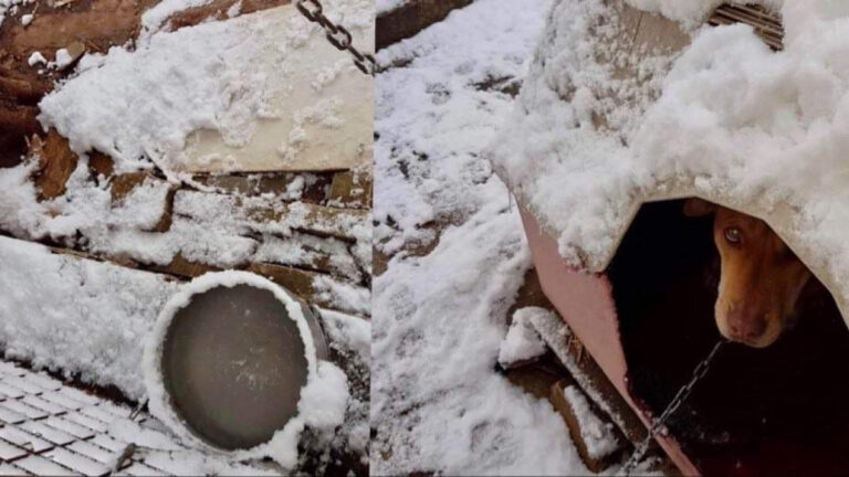 Κυψέλη: Το χρονικό της φρίκης – Το μαρτύριο που ζούσε ο 7χρονος και οι ανατρχιαστικοί ισχυρισμοί της μητέρας