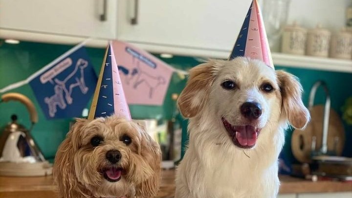 Από αδέσποτος, μοντέλο στο Λονδίνο – Η παραμυθένια ζωή του Σταύρου