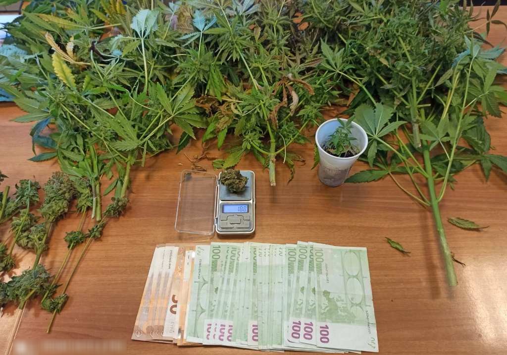Βρήκαν εργαστήριο υδροπονικής καλλιέργειας κάνναβης στην επιχείρηση Ηρακλειώτη (εικόνες)