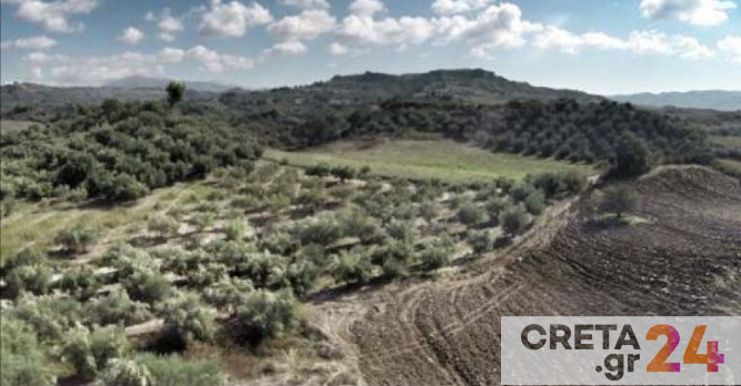 Κρήτη: Επιστολή στον υπουργό Περιβάλλοντος για τις διορθώσεις των δασικών χαρτών