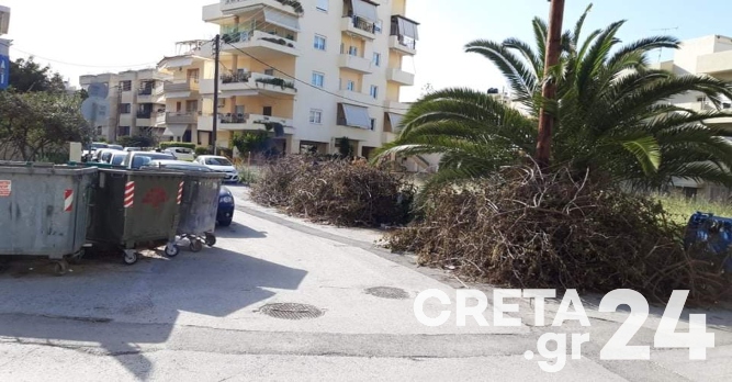 Ηράκλειο: Μετέφεραν τους κάδους και έβαλαν…τα κλαδιά