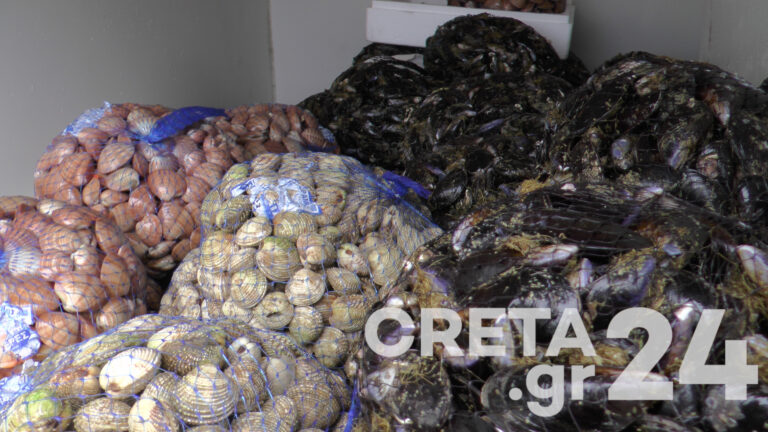 Κρήτη: Πέρασαν τον … έλεγχο τα θαλασσινά για την Καθαρά Δευτέρα (εικόνες)