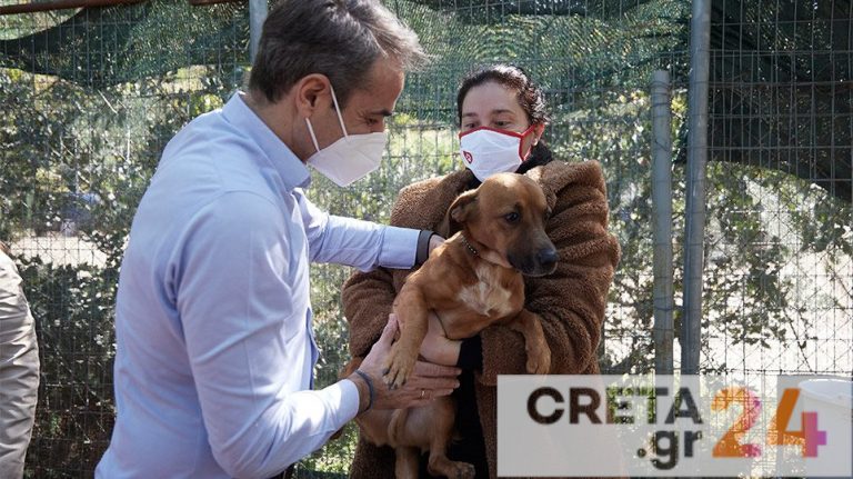Μητσοτάκης: Το επόμενο δεκαήμερο σε διαβούλευση το νομοσχέδιο για τα ζώα συντροφιάς