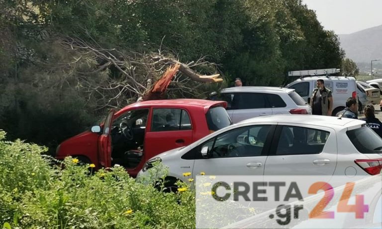 Ηράκλειο: Ο δυνατός αέρας έριξε τα δέντρα – Ζημιές σε οχήματα (εικόνες)