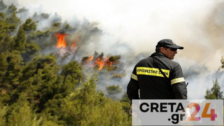 Πυρκαγιά σε αγροτική έκταση – Σπεύδουν δυνάμεις της Πυροσβεστικής