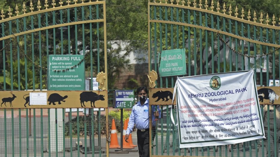 Ινδία: Θετικά στον κορωνοϊό οκτώ λιοντάρια σε ζωολογικό κήπο
