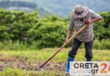 αγροτικοί σύλλογοι της Κρήτης, εργάτες γης, ανάγκες σε εργατικό δυναμικό, Διαγράφονται χρέη αγροτών