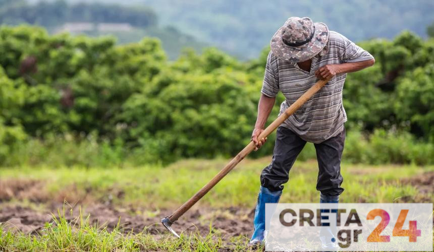 Κρήτη: «Τελευταία προειδοποίηση» των αγροτών για την έλλειψη εργατών γης