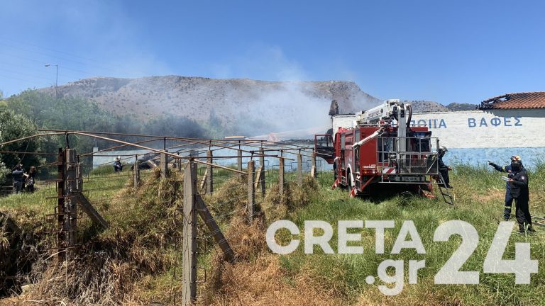 Ηράκλειο: Υπό έλεγχο η φωτιά στο ξυλουργείο (εικόνες)