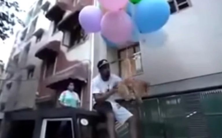 Οργή για YouTuber που έδεσε μπαλόνια στον σκύλο του για να πετάξει